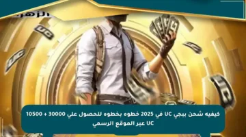 كيفية شحن ببجي UC في 2025 خطوة بخطوة للحصول على 30000 + 10500 UC عبر الموقع الرسمي